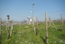 Cappannina metreriologica