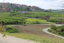 Vigna nuova barbera