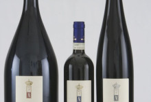 resized_magnum 1 bottiglia