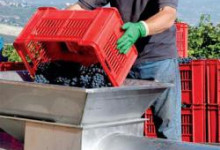azienda